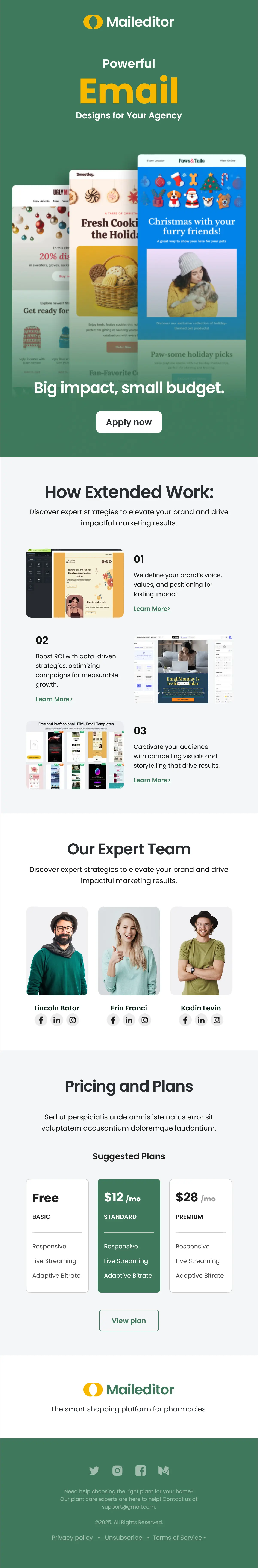 Creative Agency Email Template