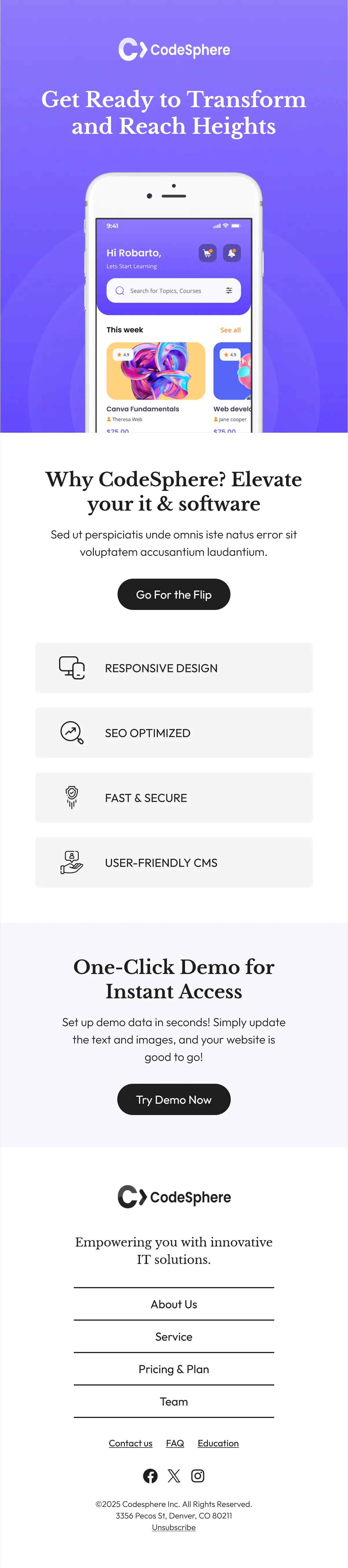 IT & Software Newsletter Template